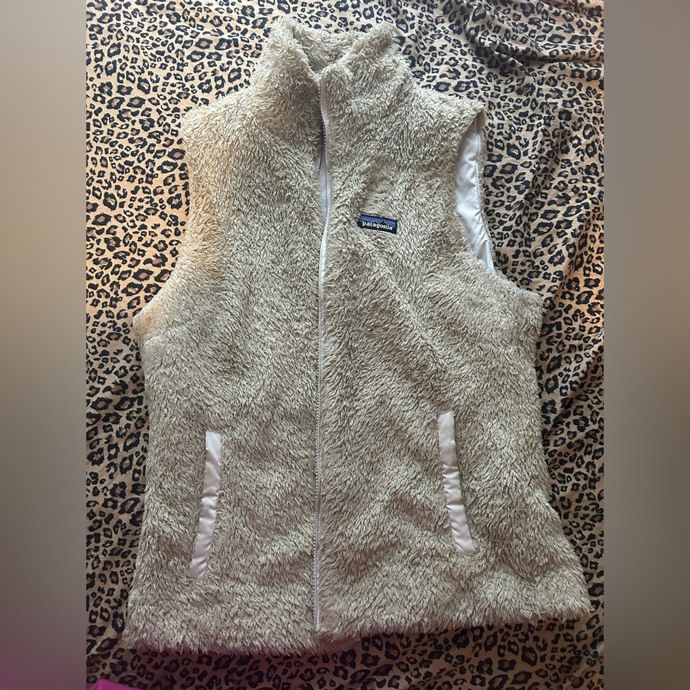 Patagonia Vest